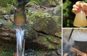 Ingenious Ways to Purify Water in the Wild