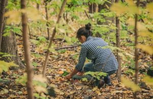 Scavenging & Foraging Fuel, Food, Water, Power, and Other Survival Resources