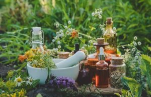 Five Common Plants Worth Knowing