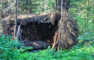 Shelter Mistakes That Can Get You Killed