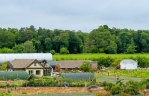 The Worst States for Living Off Grid