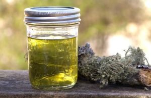 Making Usnea Oil: A Functional Friend for Field and Hearth