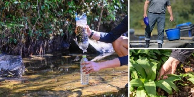 SurvivalSkillsYouCanTradeAfterSHTF