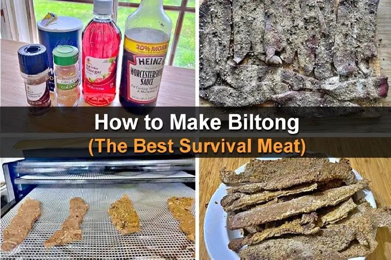 How to Make Biltong (The Best Survival Meat)